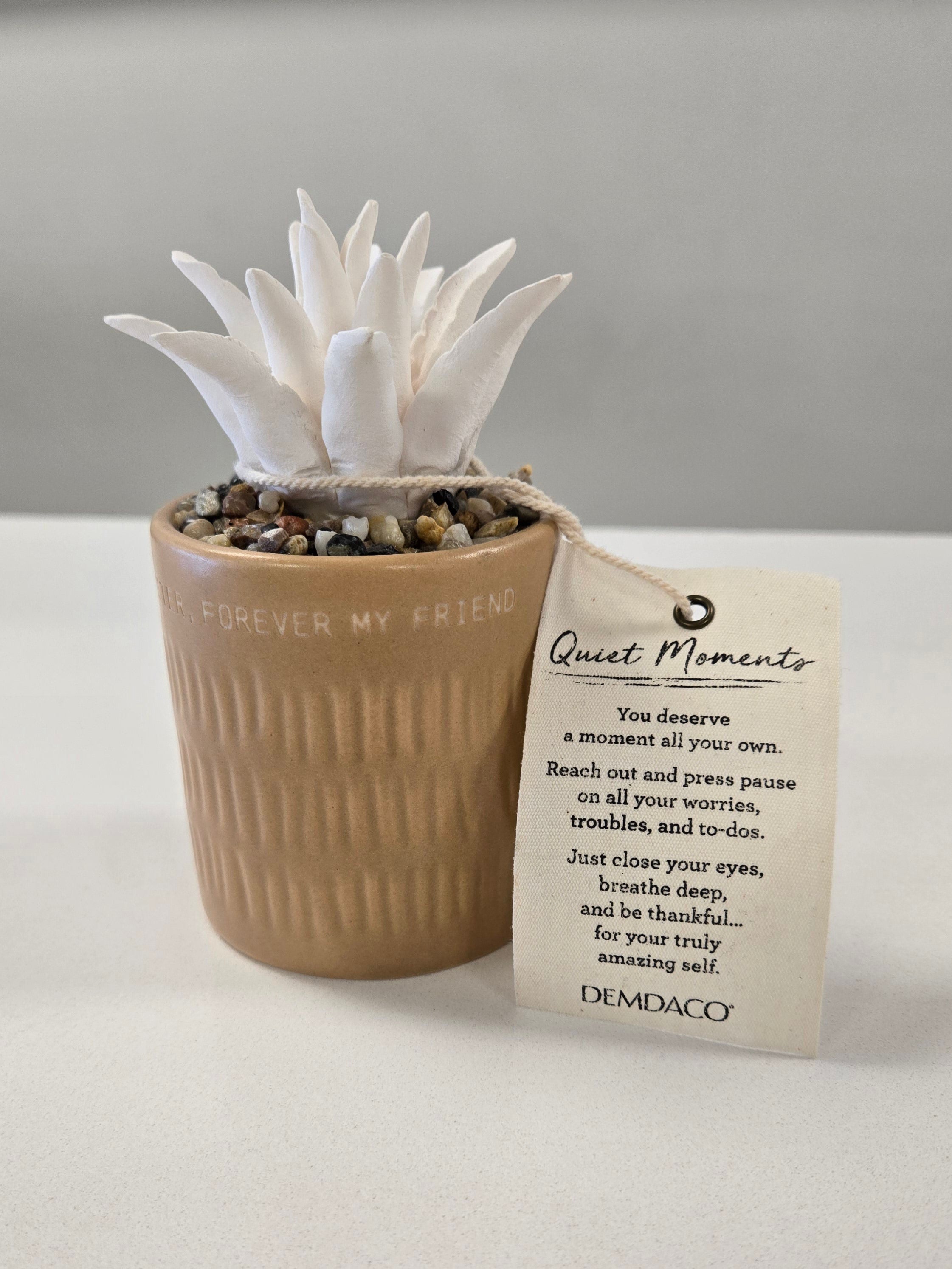 demdaco succulent oil diffuser Succulent Oil Diffuser
