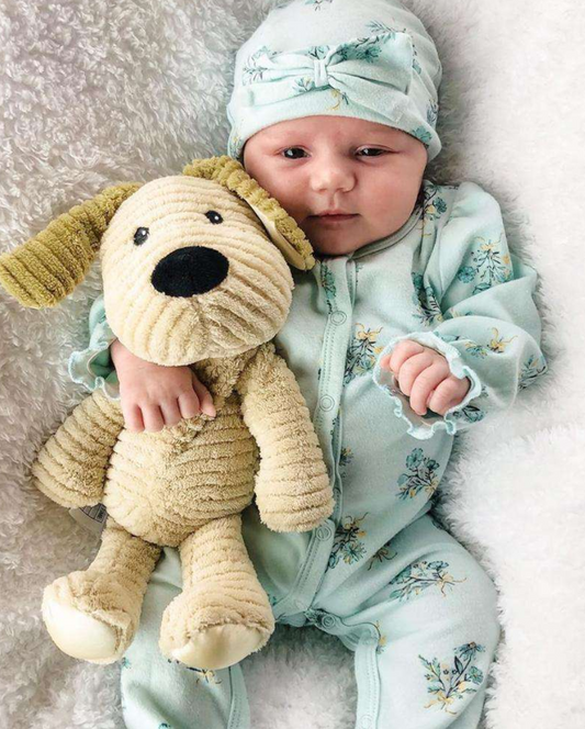 My First Warmies - Puppy