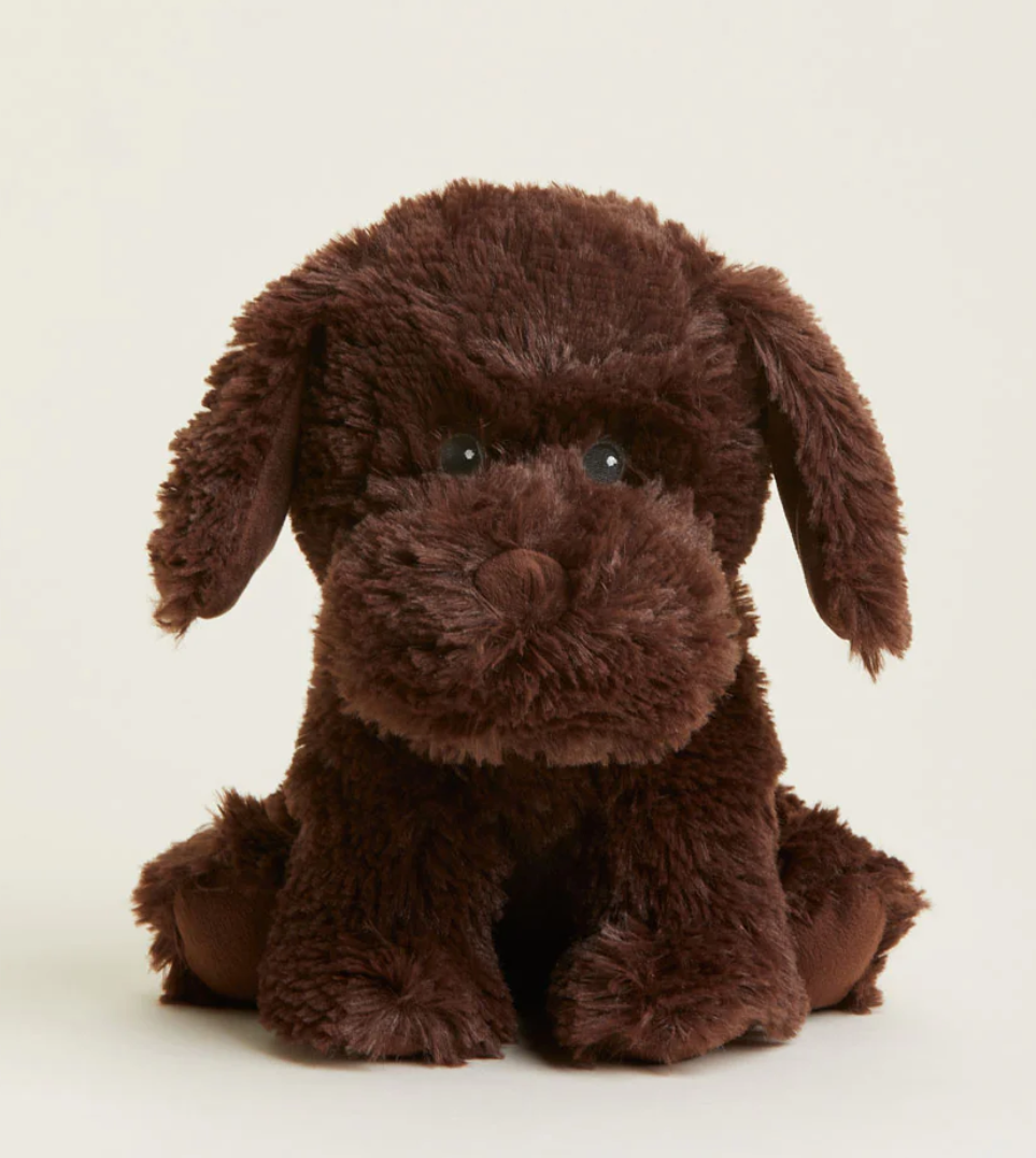 Chocolate Labrador Warmies