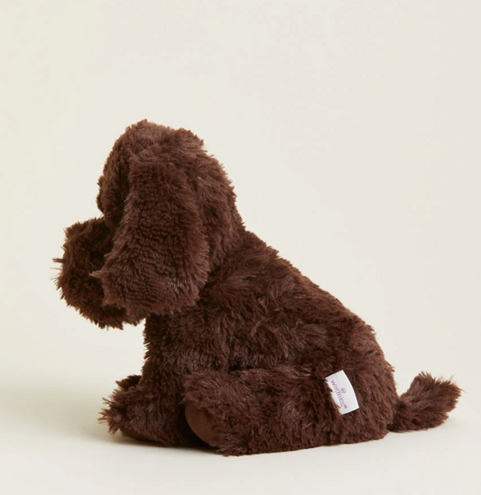 Chocolate Labrador Warmies