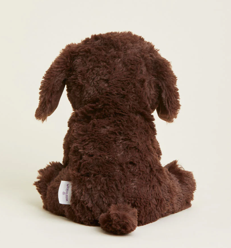 Chocolate Labrador Warmies