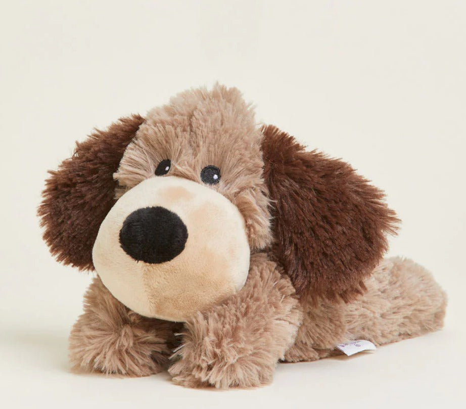 Brown Dog Warmies Junior