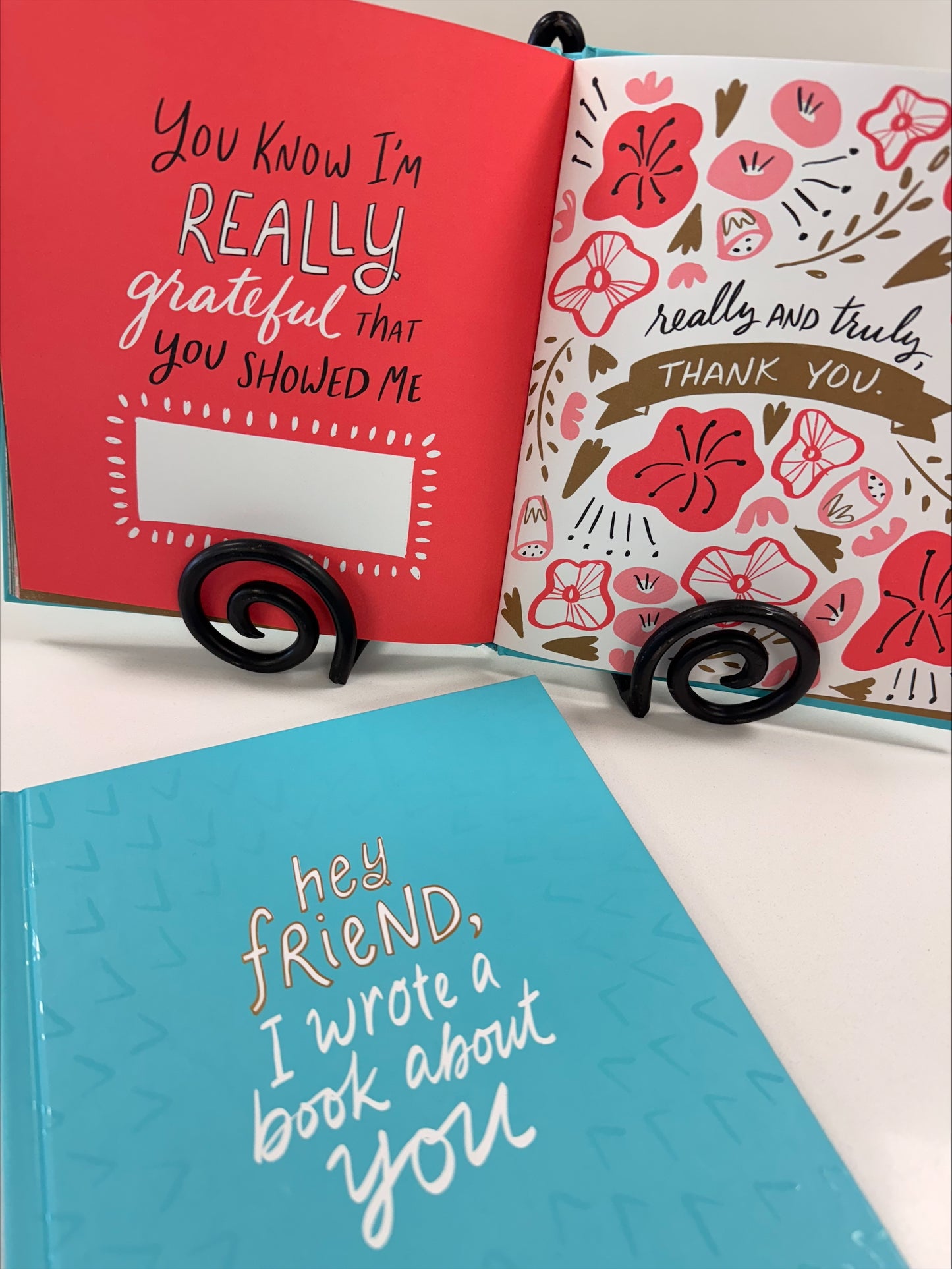 Hey Friend, I Wrote a Book About You