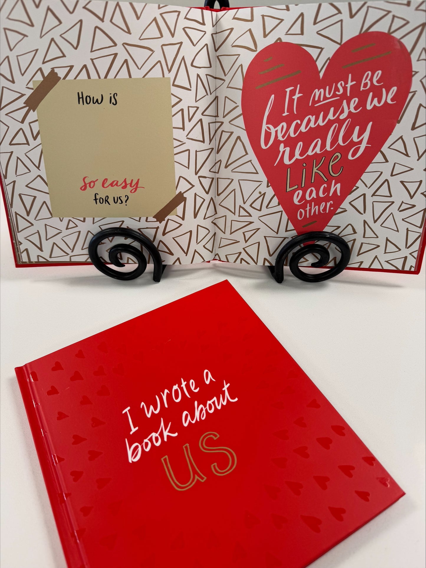 I Wrote a Book About Us