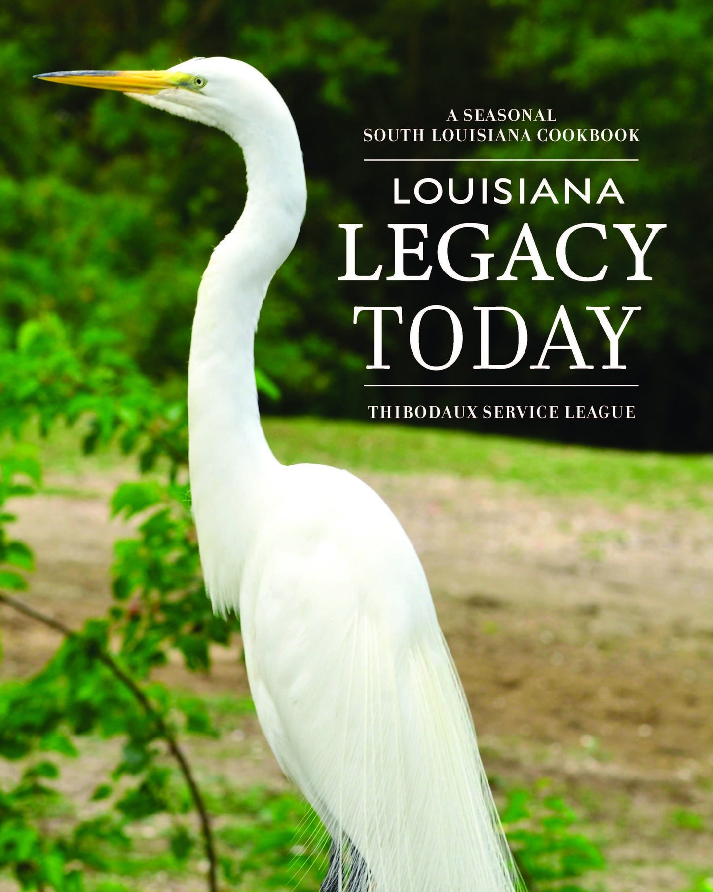 Louisiana Legacy Cookbook