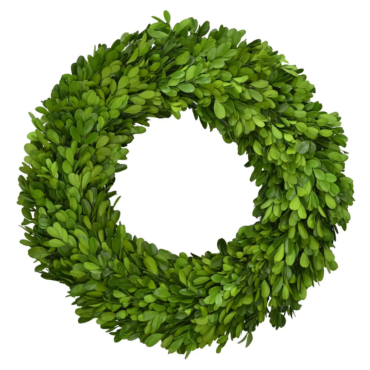 Preserved Boxwood Country Manor Wreath - 14 Inch