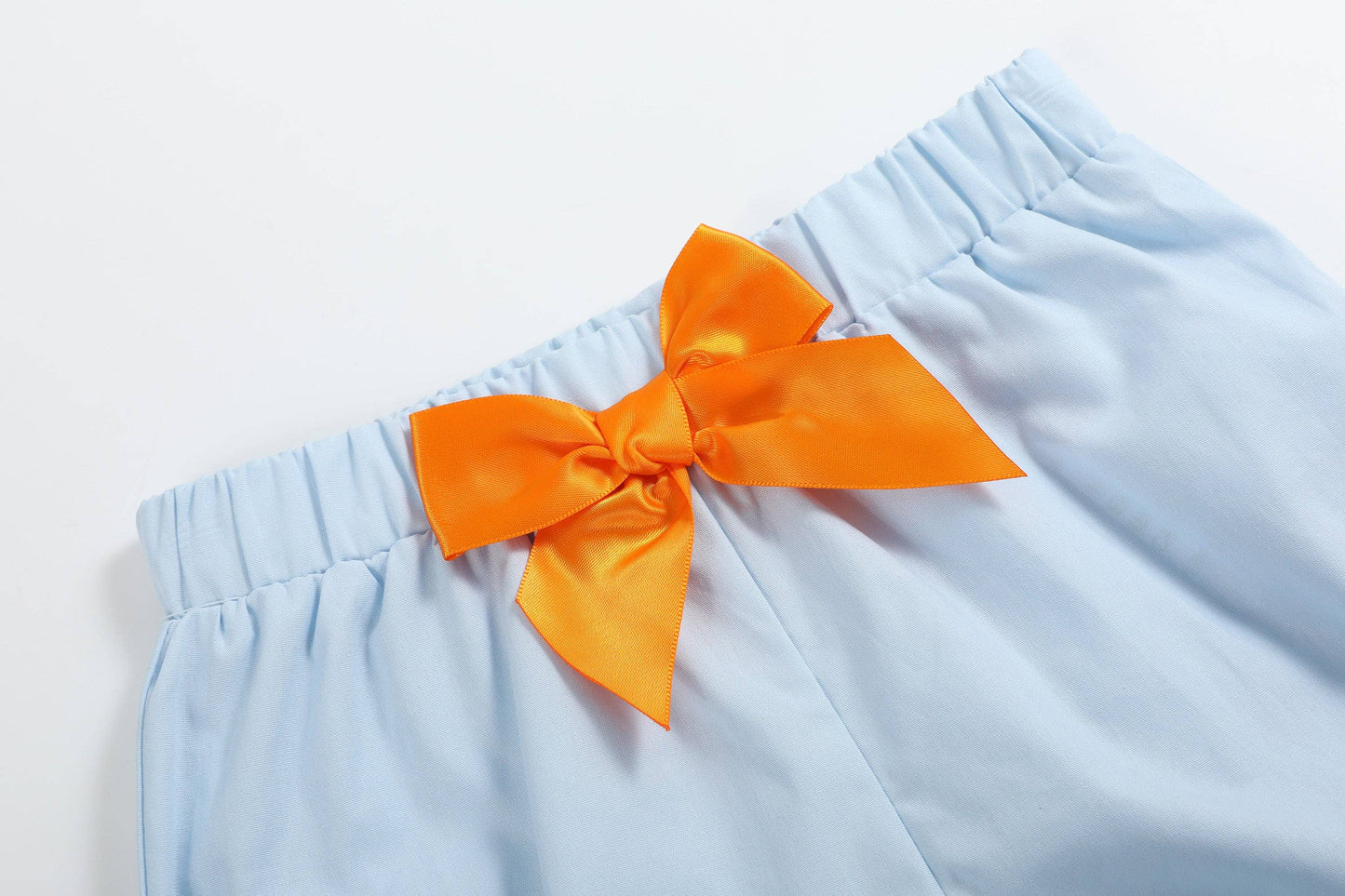 Light Blue Pumpkin Vine Smocked Bloomer Set