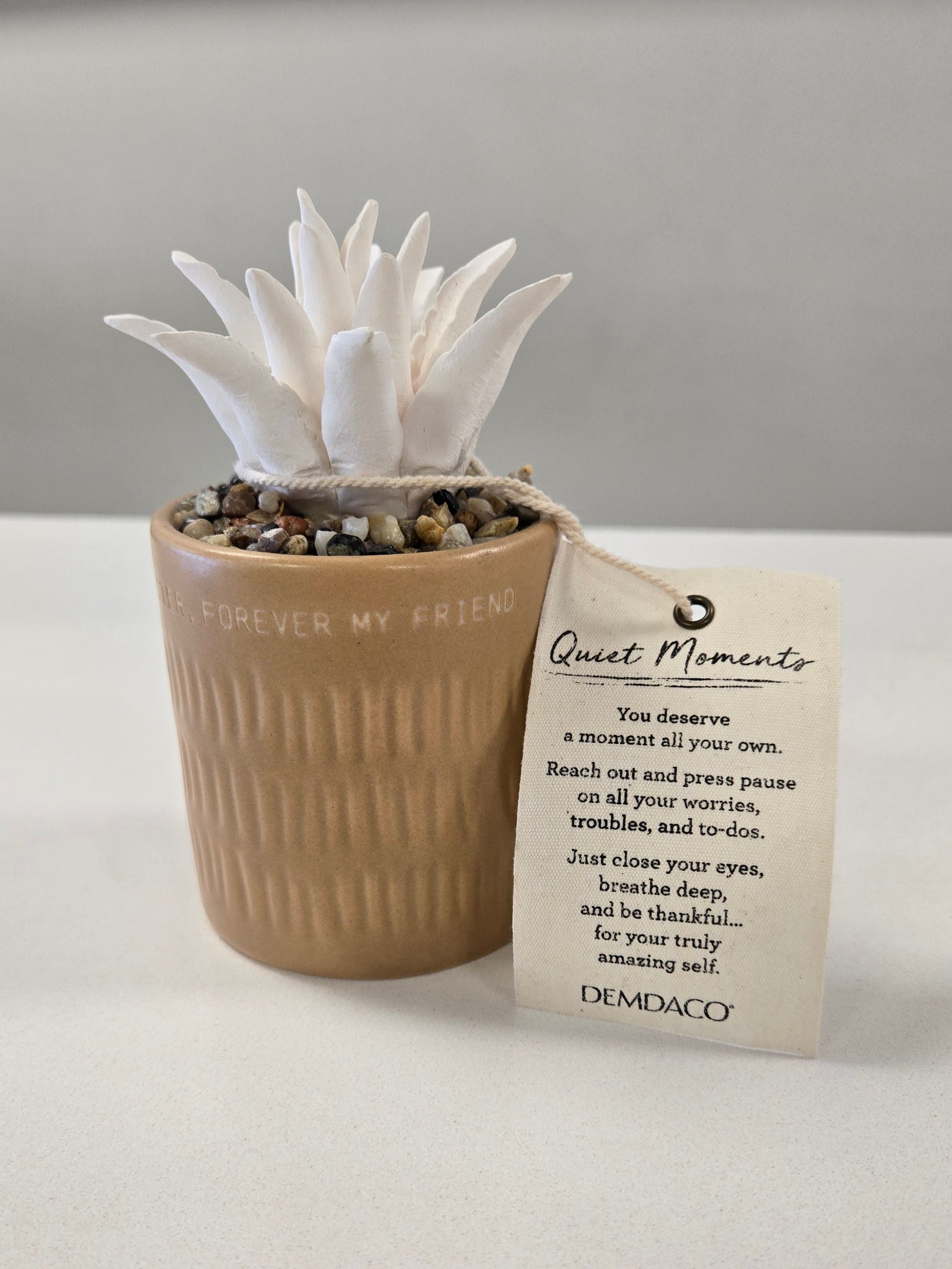 succulent oil diffuser Succulent Oil Diffuser