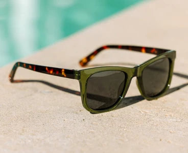 Harbor Polarized Sunglasses
