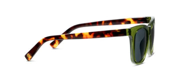 Harbor Polarized Sunglasses