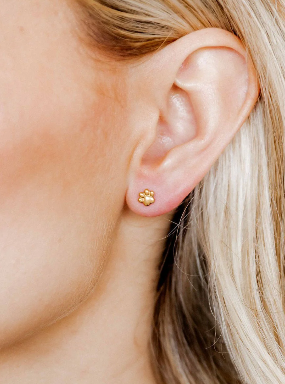 Screwback Stud - Paw Print