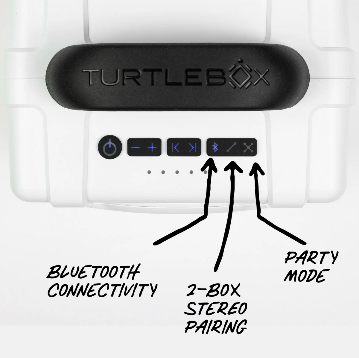 Turtlebox Cub
