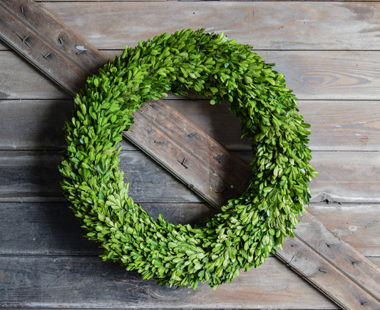Boxwood Wreath 24 inches