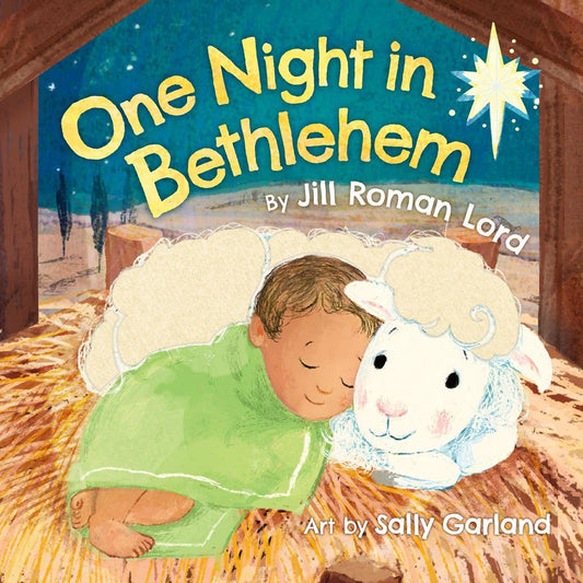 One Night in Bethlehem: Board Book