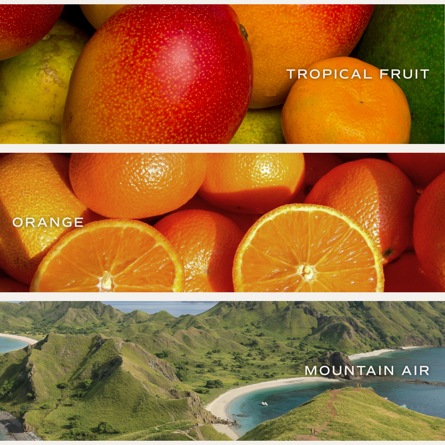 Congrats! Candle | Tropical Fruits & Sugared Citrus