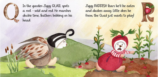 Z is Fr Ziggy Book
